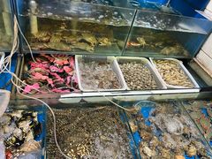 -福建美食城(老君堂店)
