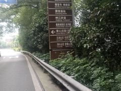 -铁山坪森林公园