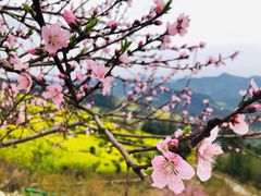 -石潭村