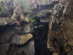 -水绘园