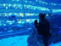 -成都浩海立方海洋公园