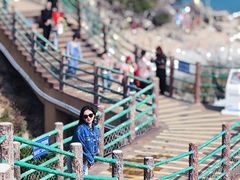 -广东惠东海龟国家级自然保护区