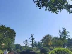 -滨湖塘西河公园