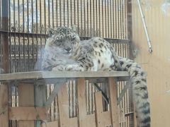 -青藏高原野生动物园