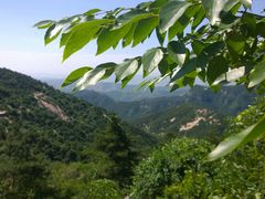 -鲁山国家森林公园