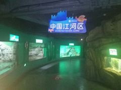 -常州海昌海洋探索馆