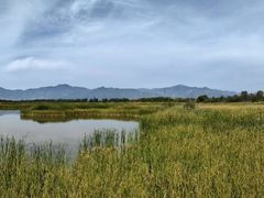 -野鸭湖国家湿地公园