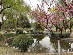 -鹦鹉寺公园