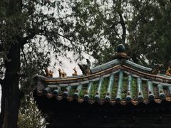 -关林