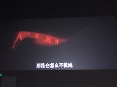 -中影国际影城(西溪印象城CINITYLED店)