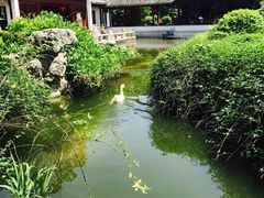 -祝家花園(伯渎港店)