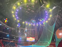 -俄罗斯国家大马戏团