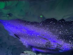 -上海海昌海洋公园-冰山北极馆