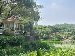 -广州莲花山旅游区