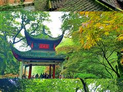 -岳麓山风景名胜区