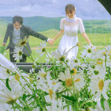 几束小雏菊就能拍出🌻日系电影感婚纱照