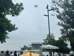 -深圳人才公园