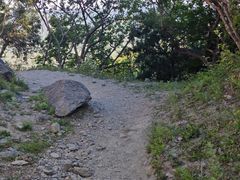 -北京鹫峰国家森林公园