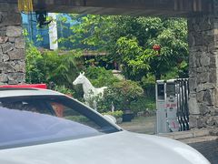 -花溪雨·森林餐厅(石基店)