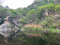 -Local泰莲庭(虹鳟鱼店)