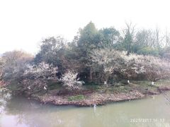 -西溪国家湿地公园