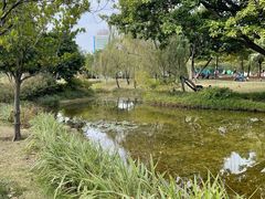 -海珠儿童公园
