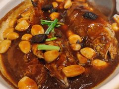 -金鼎轩(亚运村店)