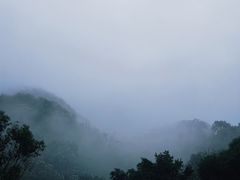 -龙坞茶村