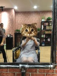 -呈美国际美肤养生艾洗造型