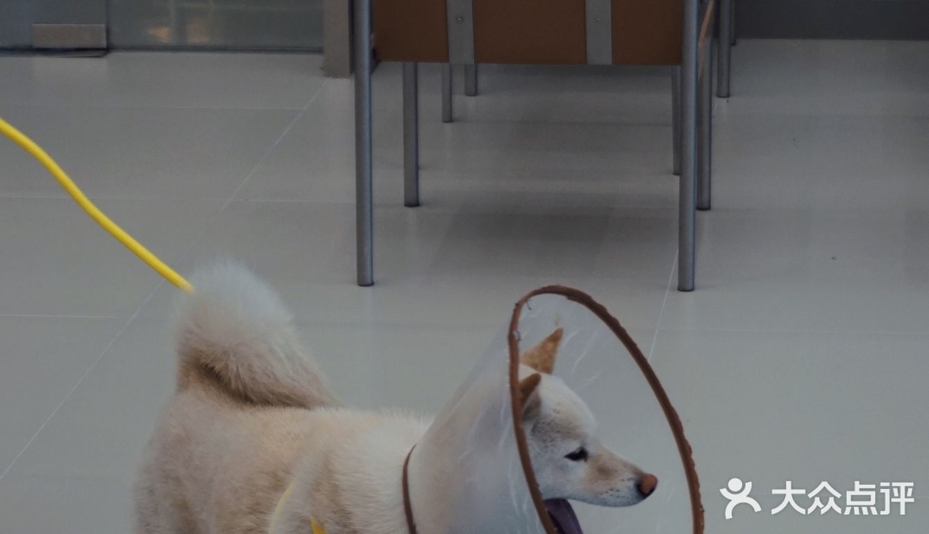 杭州探店 | 忽冷忽热，有温有冰