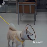 杭州探店 | 忽冷忽热，有温有冰