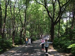 -东湖落雁景区