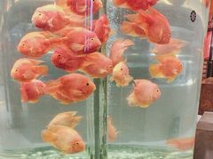 -红鱼湾餐厅(国际大厦店)