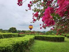 -中国科学院西双版纳热带植物园