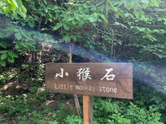 -三块石国家森林公园