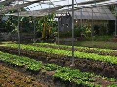 -Ohkajhu Organic Farm Sansai