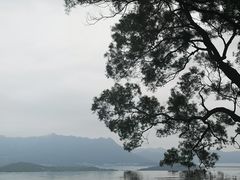 -大埔公路-马料水段香港中文大学(公交站)