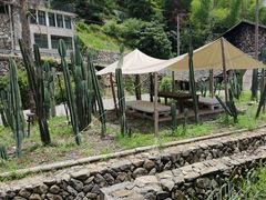 -MOJ coffee(瓯海泽雅水碓坑店)