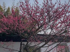 -杭州植物园