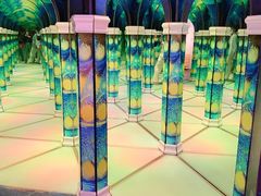 -天津梵高星空艺术馆(天河城旗舰店)