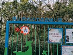 -昆山城市生态森林公园