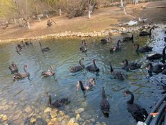 -长白岛森林公园