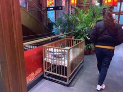 -川西坝子火锅(金沙1.0直营店)