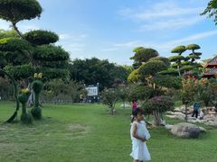 -南宁南湖公园