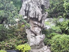 -汇龙潭