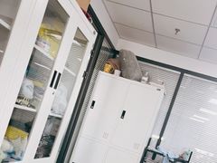-新航道雅思托福·留学·考研培训(人民广场校区)