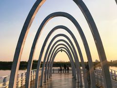 -大兴滨河森林公园