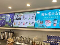 -雾与山茶(大禹城店)