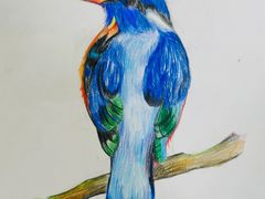 -东方童画少儿美术(莘庄体验馆)