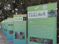 -南山植物园